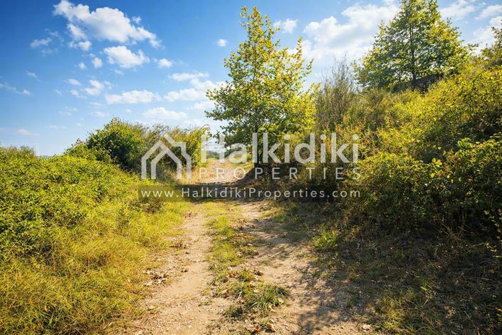 Image No.5-Land for sale
