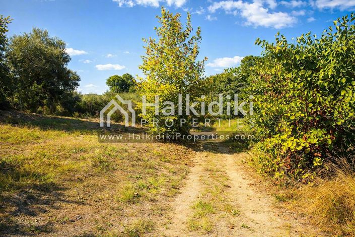 Image No.7-Land for sale