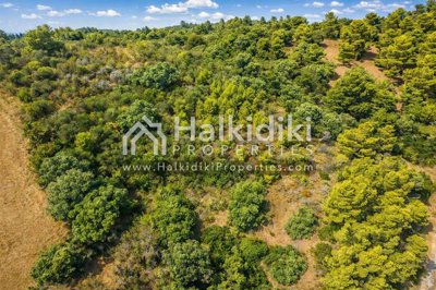 land-aerial