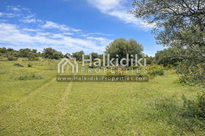 Image No.2-Land for sale
