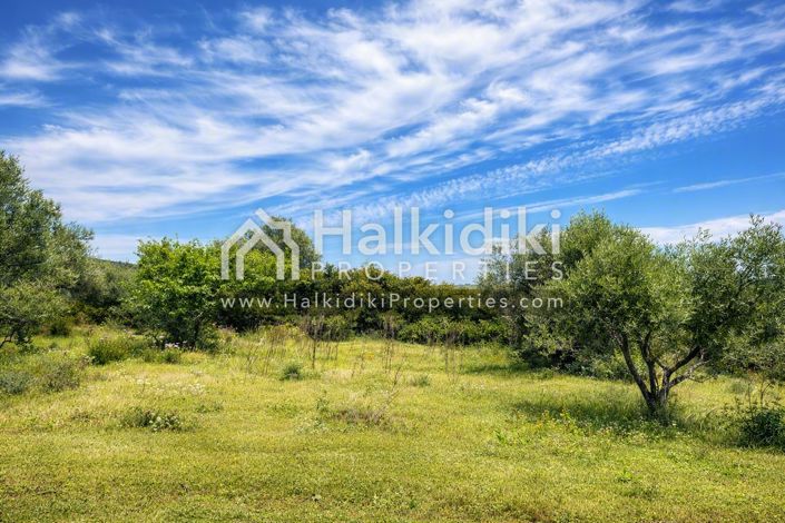 Image No.6-Land for sale