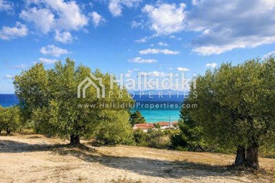 sea-view