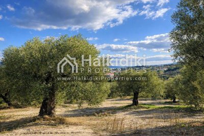 land-surroundings