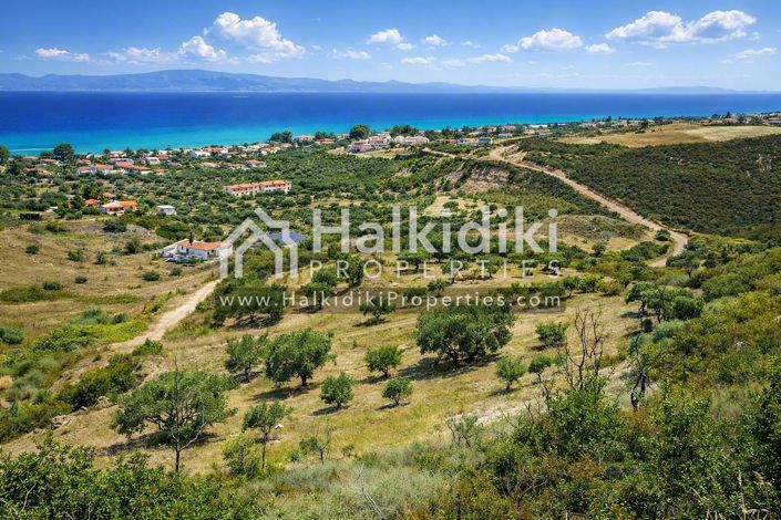 Image No.2-Terre à vendre à Halkidiki