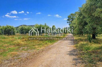 land-plot