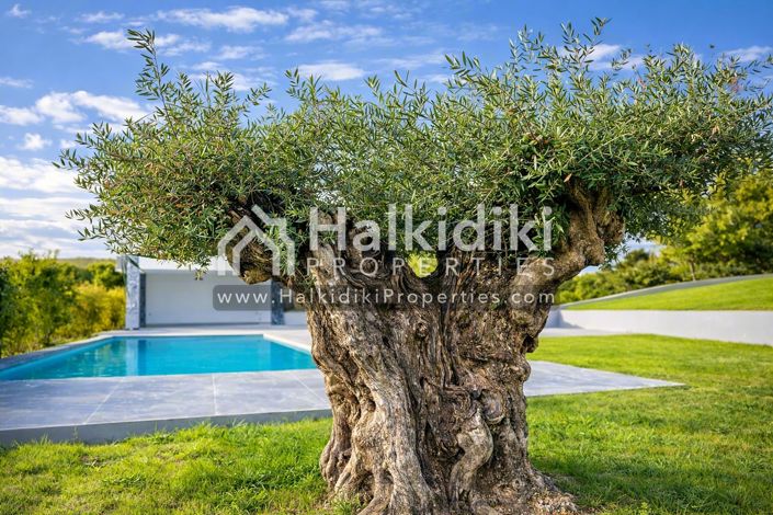 Image No.7-4 Bed Villa for sale