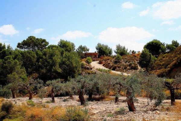Image No.7-3 Bed Villa for sale