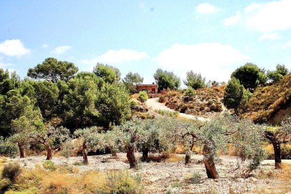 Image No.16-3 Bed Villa for sale