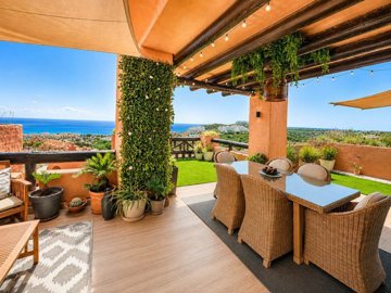 Terraza
