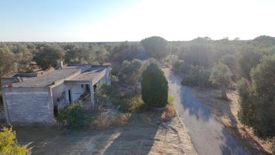 dji_fly_20260710_190112_0069_1783703985052_photo