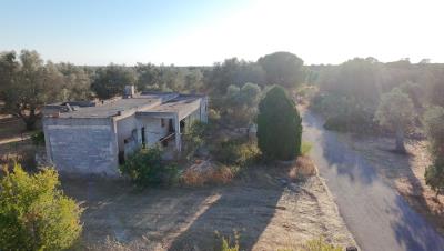 dji_fly_20260710_190114_0070_1783703981078_photo