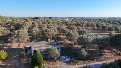 dji_fly_20260710_190016_0067_1783703996883_photo