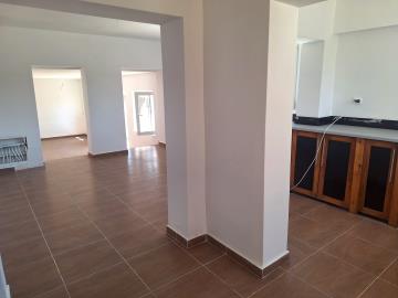 1000013193-037330