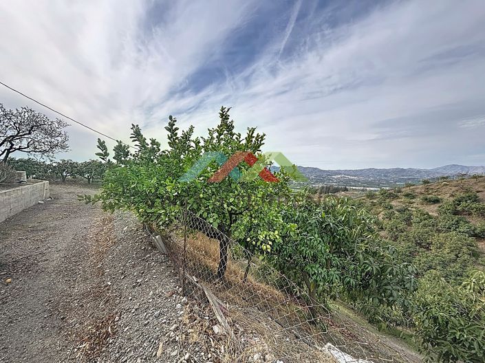 Image No.39-4 Bed Villa for sale