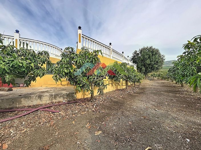 Image No.44-4 Bed Villa for sale