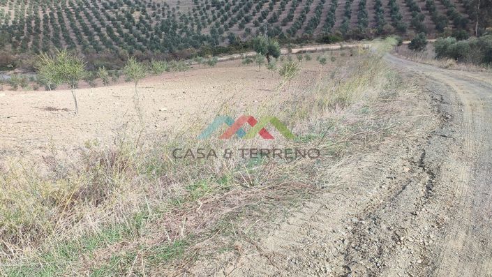 Image No.21-Land for sale