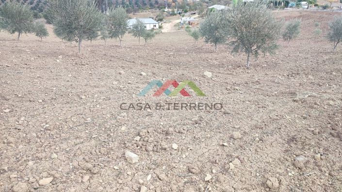 Image No.27-Land for sale