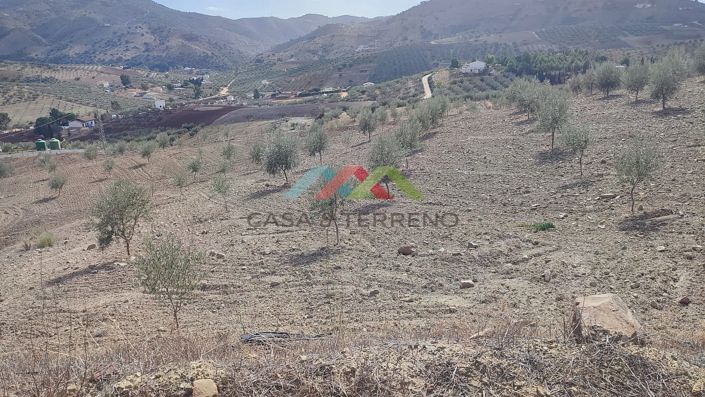 Image No.5-Land for sale