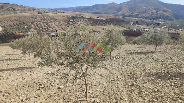 Image No.8-Land for sale
