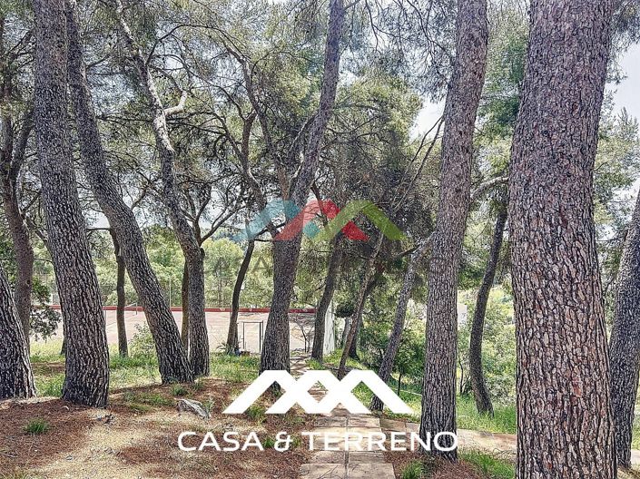 Image No.5-4 Bed Villa for sale