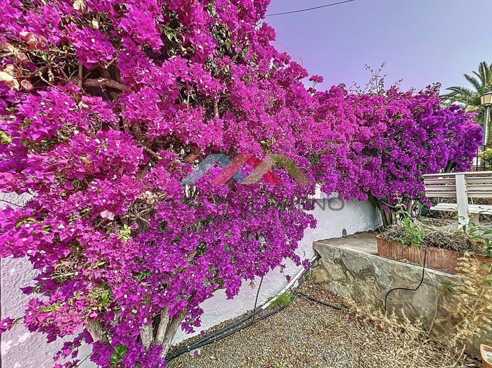 Image No.25-5 Bed Villa for sale