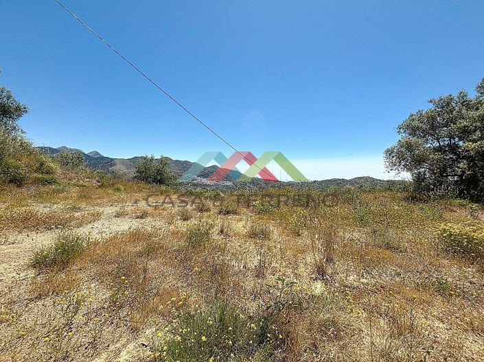Image No.2-Land for sale