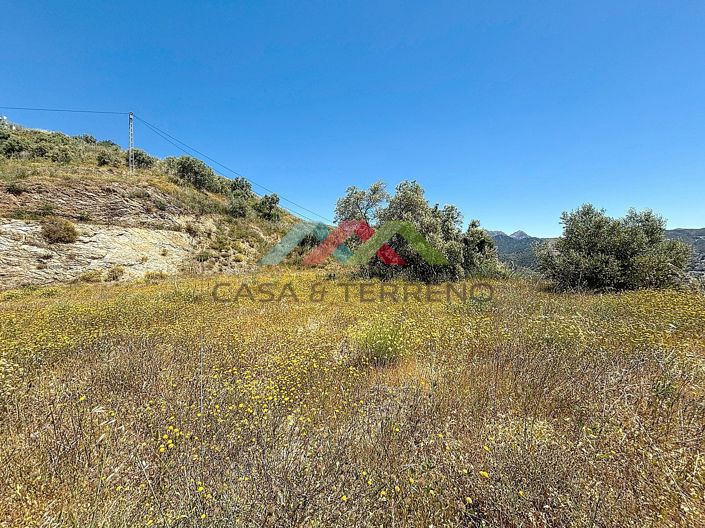Image No.7-Land for sale