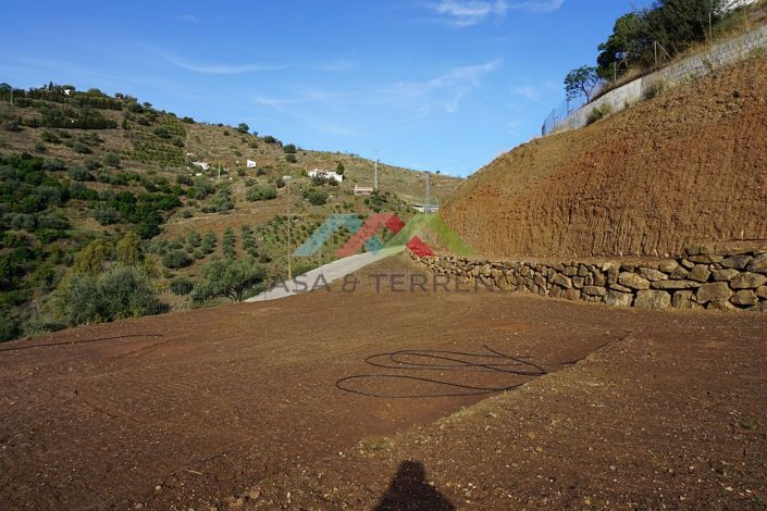 Image No.4-Terre à vendre à Canillas de Aceituno