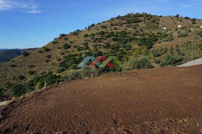 Image No.7-Terre à vendre à Canillas de Aceituno