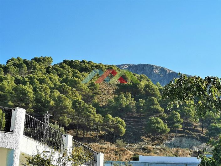 Image No.7-Terre à vendre à Canillas de Aceituno