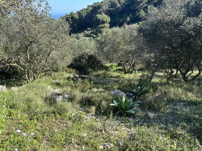 Image No.23-1 Bed Land for sale