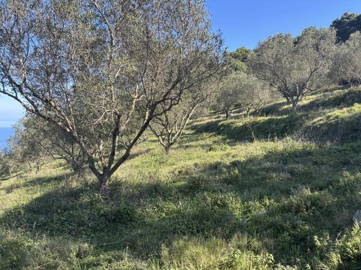 Image No.28-1 Bed Land for sale