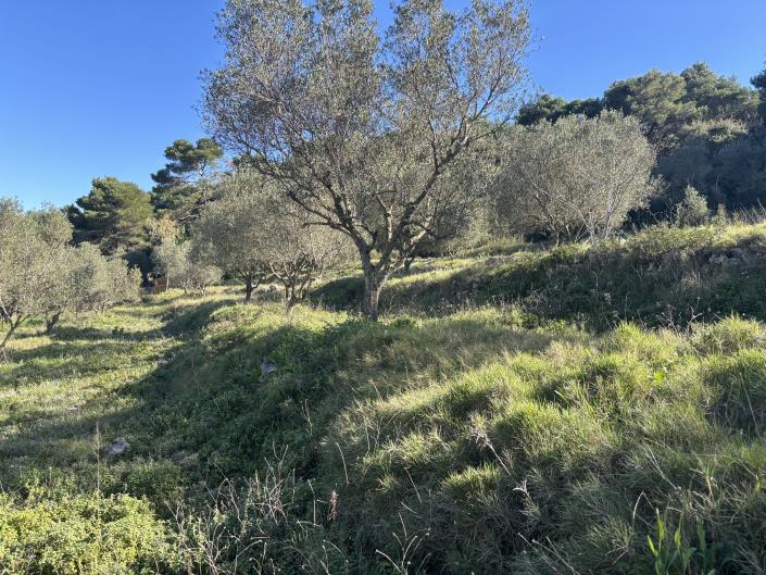 Image No.31-1 Bed Land for sale