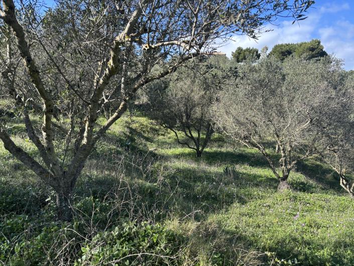 Image No.32-1 Bed Land for sale