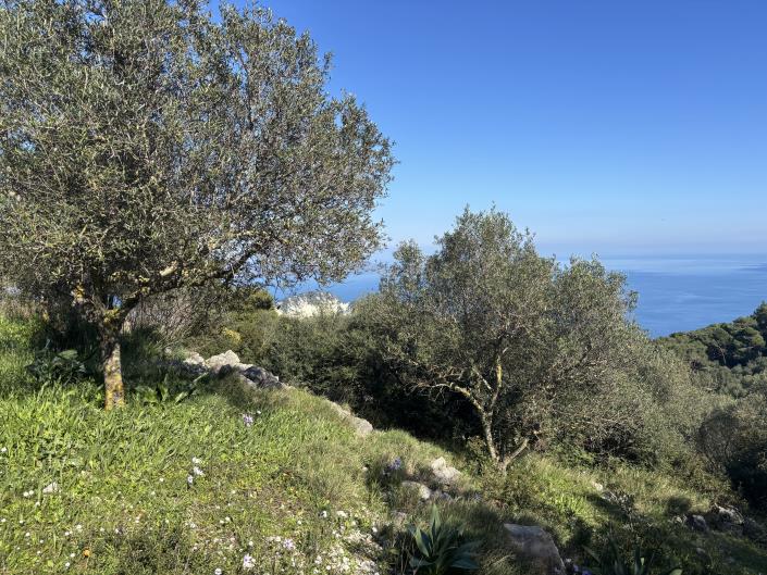 Image No.34-1 Bed Land for sale