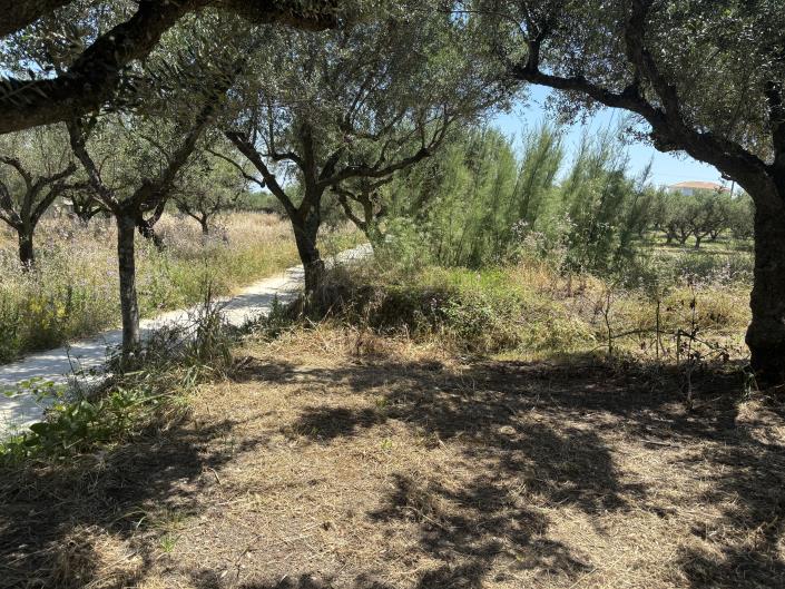 Image No.8-Land for sale