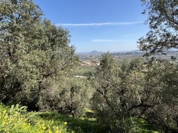 IMG_4012