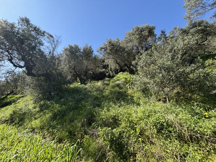 Image No.9-Land for sale