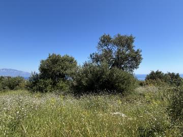 IMG_6870