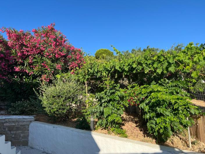 Image No.7-1 Bed Villa / Detached for sale