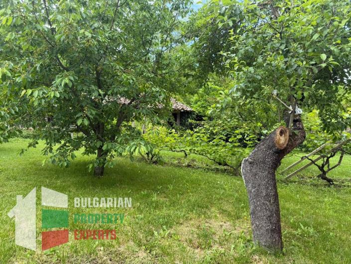 Image No.45-3 Bed House for sale