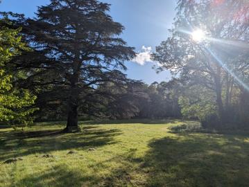 photo-10