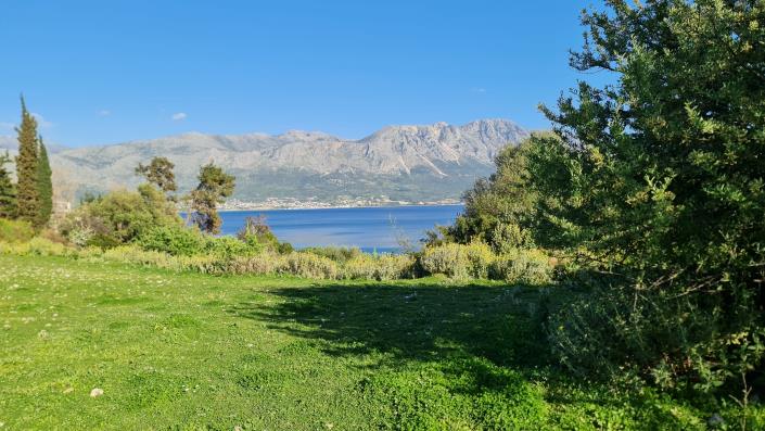 Image No.7-Land for sale