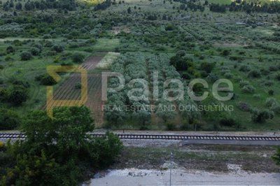 donje-polje-sibenik-poljoprivredno-zemljiste-s-40-maslina_3