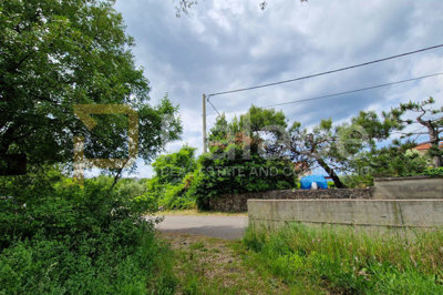 veliko-zemljiste-s-pristupom-na-otoku-krku-rasopasno-3228-m_7