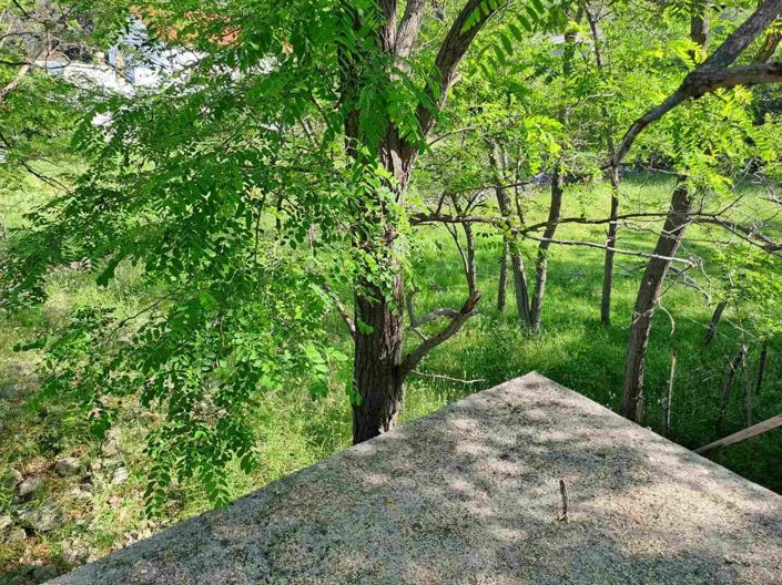 Image No.2-Plot for sale