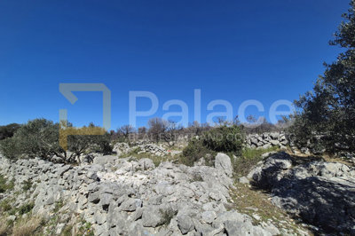 poljoprivredno-zemljiste-u-primostenu-10-201-m2_2