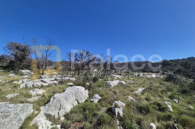 poljoprivredno-zemljiste-u-primostenu-10-201-m2_4