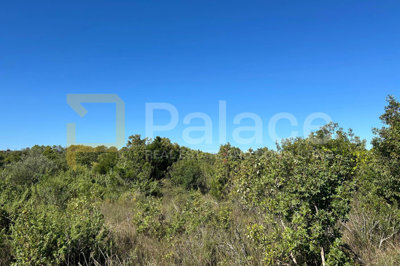 poljoprivredno-zemljiste-u-zaledju-vodica-1376-m2_3