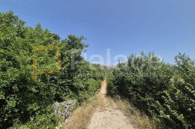 poljoprivredno-neobradjeno-zemljiste-2607-m2_1